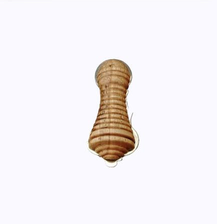 Oak Small Beehive (OSBK)