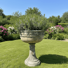 Georgian Chalice garden planter bowl - Wilsons Yard