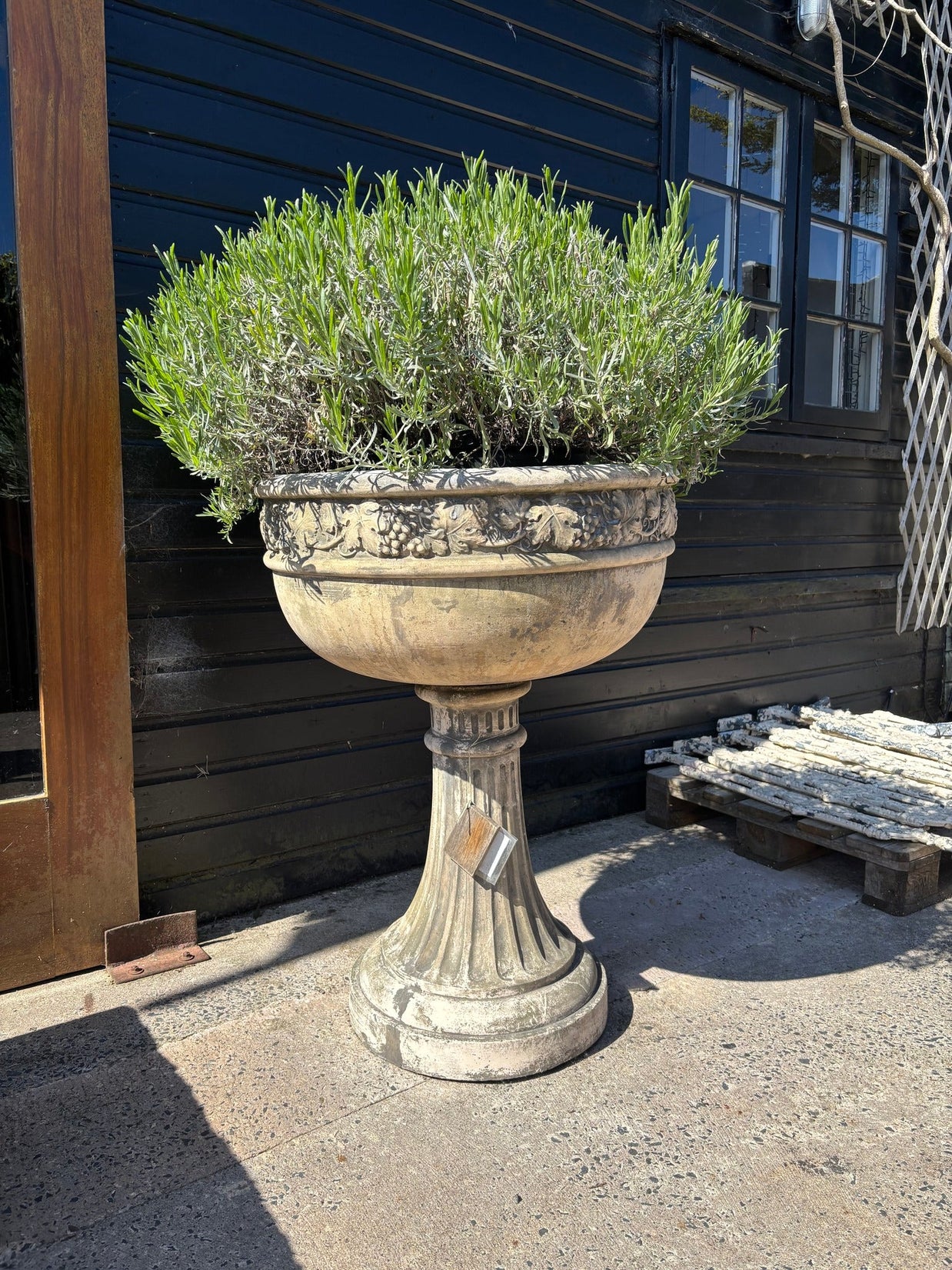 Georgian Chalice garden planter bowl - Wilsons Yard