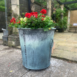 The Large Hillsborough Planter - Wilsons Yard