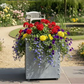 The Wicklow Planter - Wilsons Yard