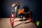 Vintage Spring Style Rocking Horse
