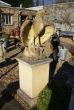 Antique style stone hawk statue