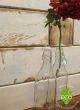 salvaged pine skin wall board