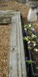 Aged Classical Yorkstone Door Entrance