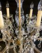 Restored vintage Marie Teresa chandeliers