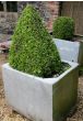 Old steel water tank planter 