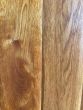 PRE – FINISHED CIDER – PERIOD LIGHT OAK
