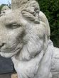 Splendid pair of Sculpted entrance lions 
