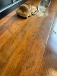 Reclaimed Mahogany plank flooring 