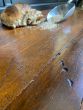 Reclaimed Mahogany plank flooring 