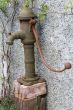 Vintage cow tail water pump 