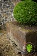 19th century garden trough