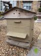 Vintage Bee Hive