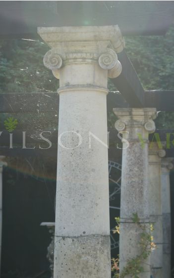 Columns with Ionic Capitals