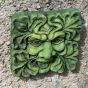 Garden wall plaque 