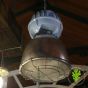 Reclaimed Industrial lighting 