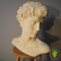 Antique roman bust Wilsons Yard