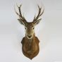 Vintage stags head 