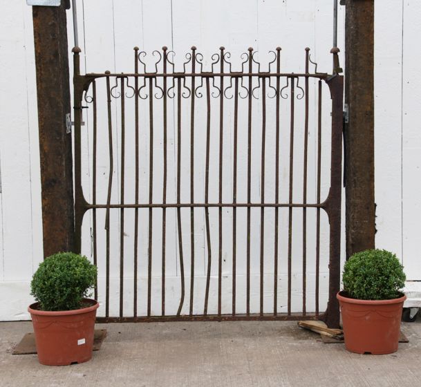 Antique old gates 