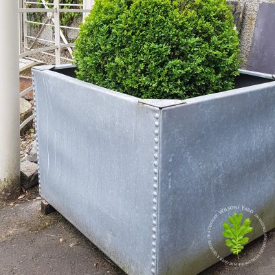 One of a pair of Galvanised planter tanks