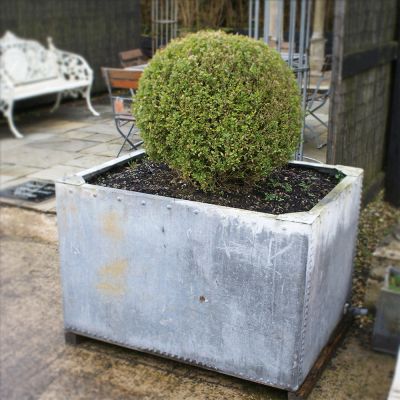 Galvanised garden planter