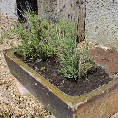 Earthenware sink planter 