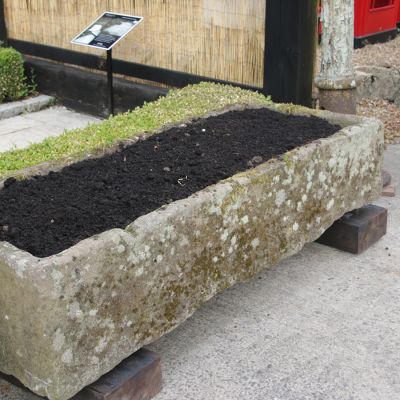 Large 19th century old weathered village trough / planter 