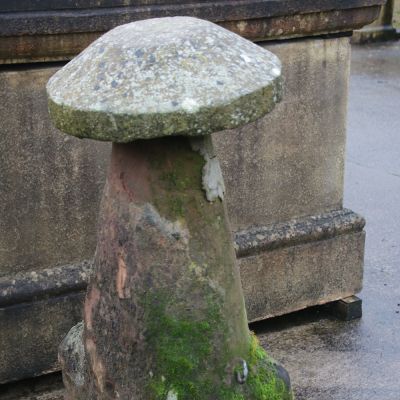 Large beautiful mossed staddle stone 