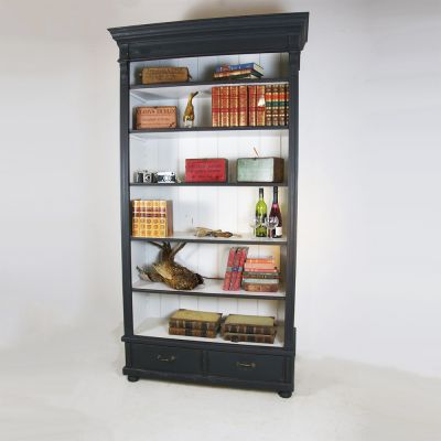 Tall dramatic book case 