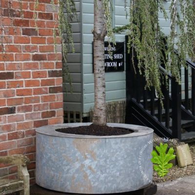 Huge Circular Galvanised Planters from London - SOLD REF INV NO: 114139