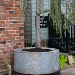 Fantastic Set of 7 No. Huge Circular Galvanised Planters from London