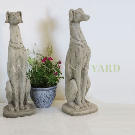 Stone Whippet dogs