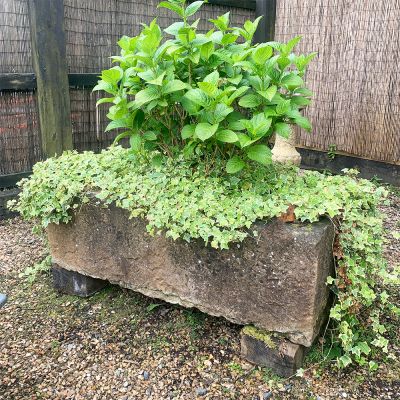 Large 19th century stone trough nicely weathered 