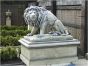 The Triton Collection - Triton Lion Statues (Pair)