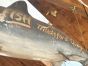 Large vintage shark fish sign 