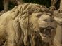 Life size stone lion statues 