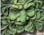 Decorative green man wall plaque 